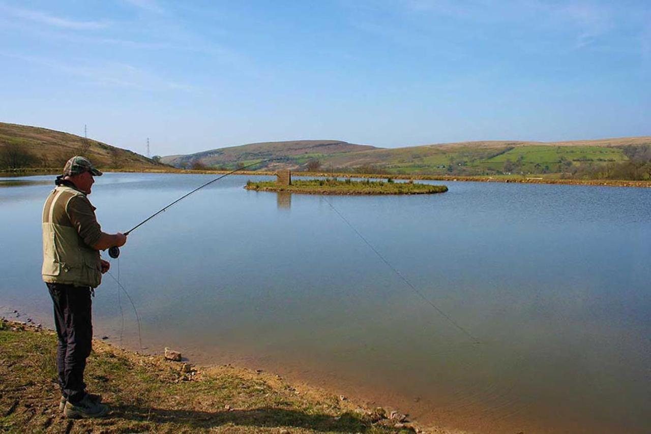 Coynant Farm Guesthouse - Farm Park Stay Swansea Esterno foto