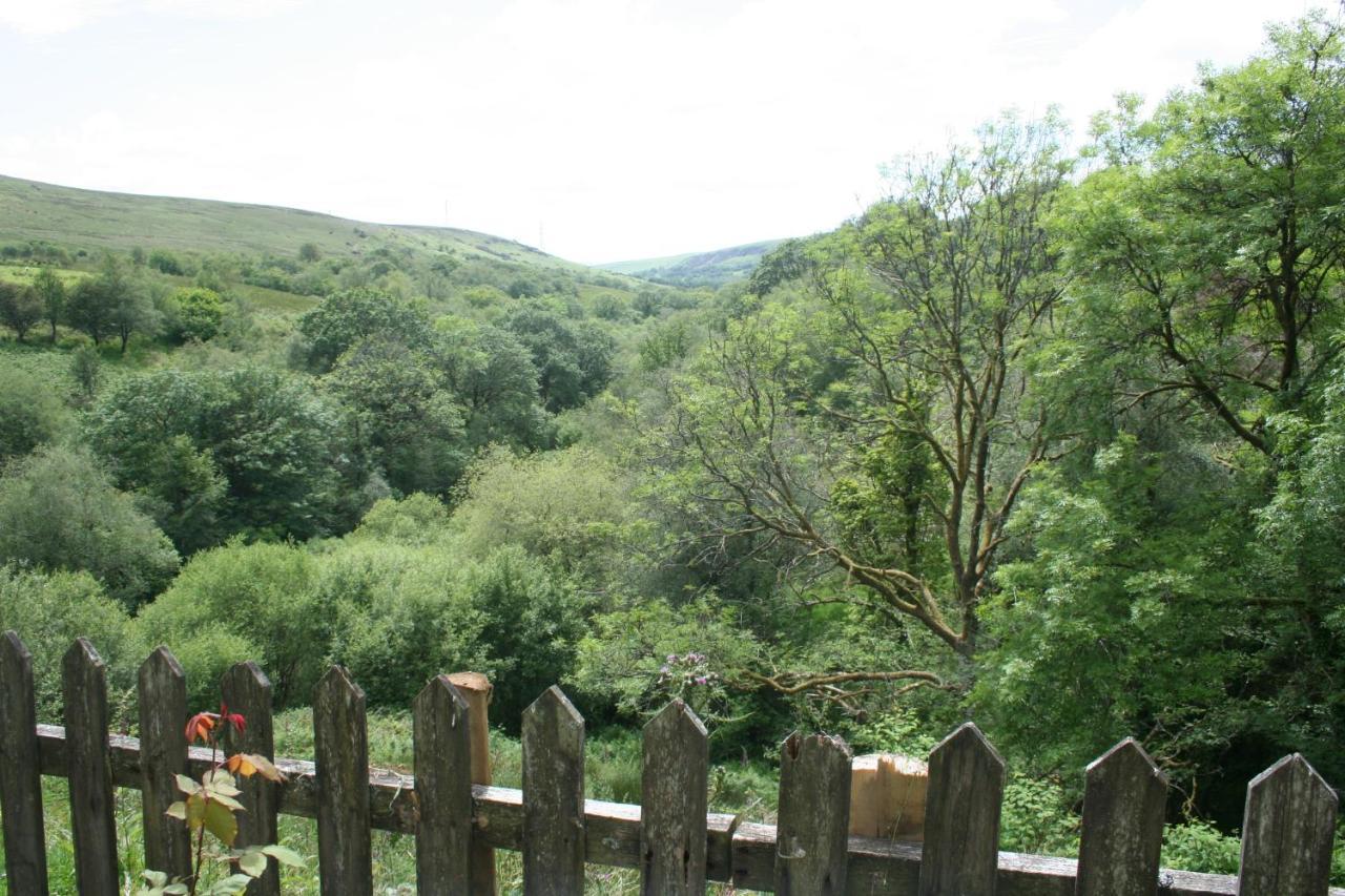 Coynant Farm Guesthouse - Farm Park Stay Swansea Esterno foto