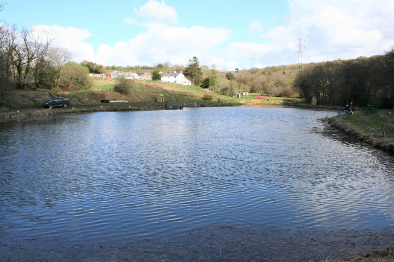 Coynant Farm Guesthouse - Farm Park Stay Swansea Esterno foto