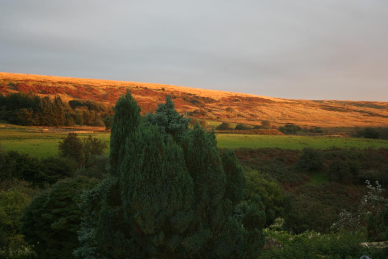 Coynant Farm Guesthouse - Farm Park Stay Swansea Esterno foto