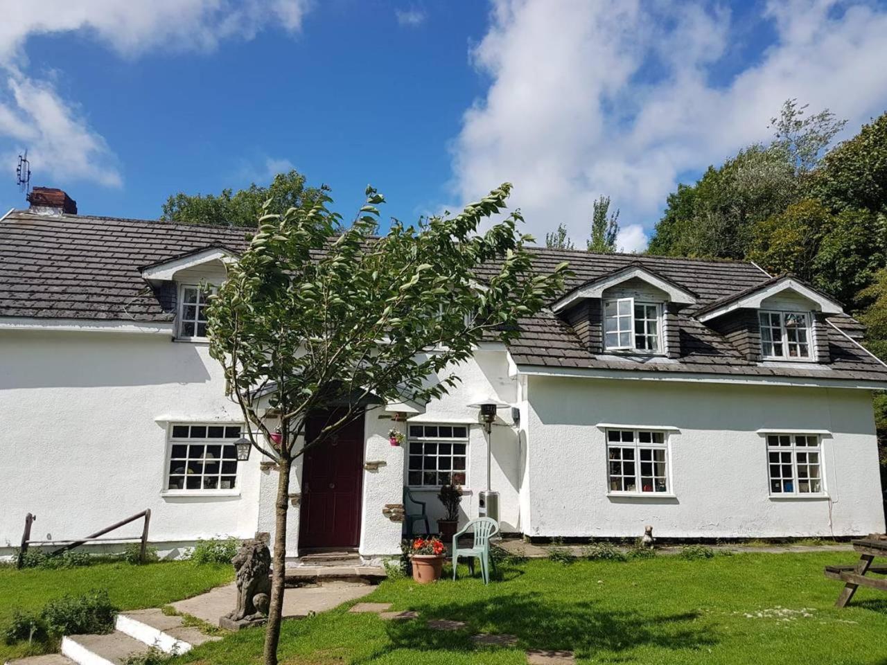 Coynant Farm Guesthouse - Farm Park Stay Swansea Esterno foto